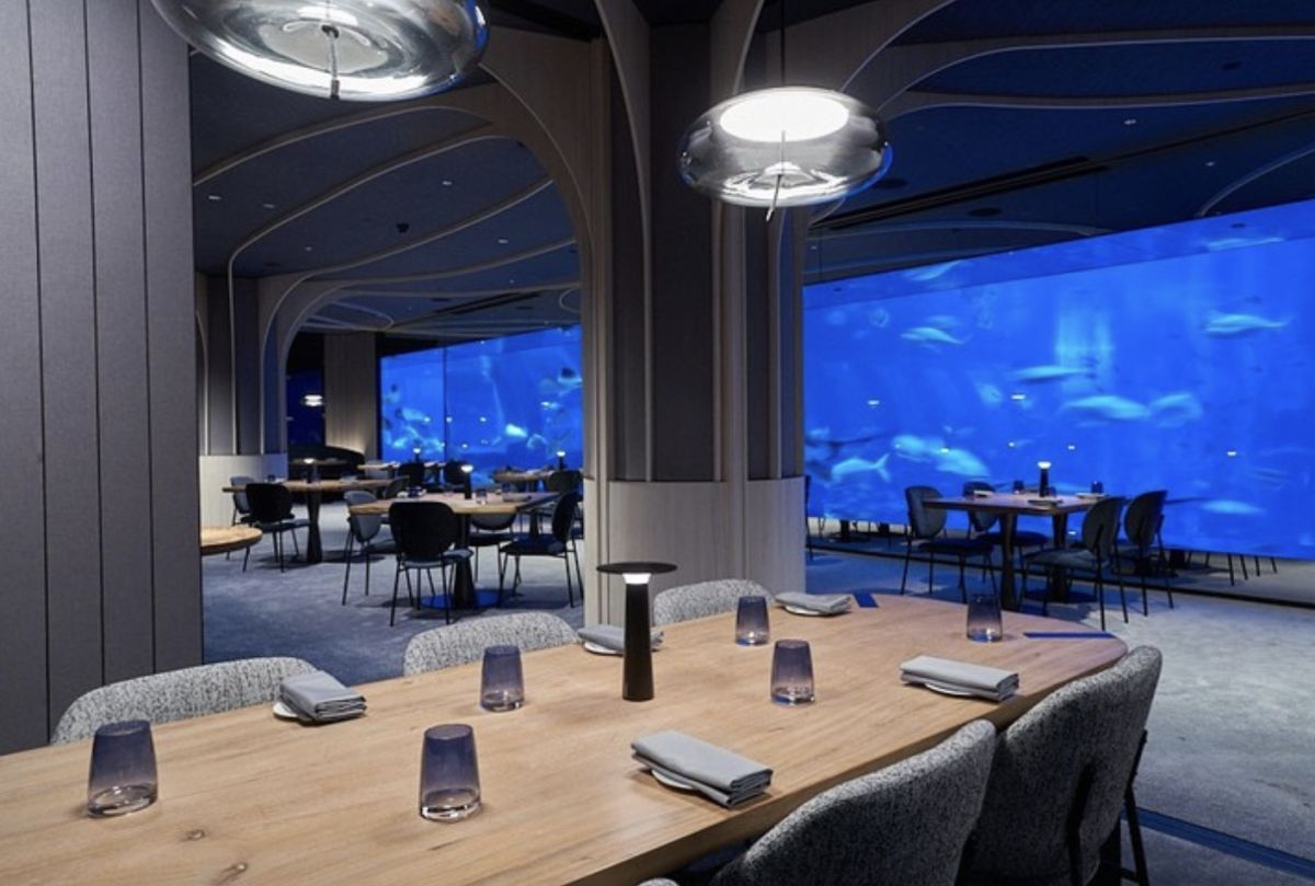 ▲吃飯時旁邊有超過40,000隻海洋動物悠游其中。（圖／翻攝自海之味水族餐廳官網）