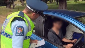 台灣夫妻在紐西蘭自駕！半小時連做「7種三寶行徑」　警察急扣車
