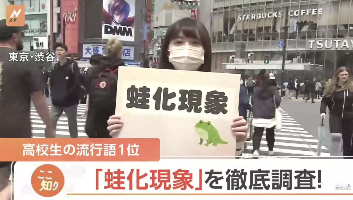 ▲近期在日本網路上，「蛙化現象」成為許多人討論的話題，更成為Z世代流行用語。（圖／擷取自YouTube）