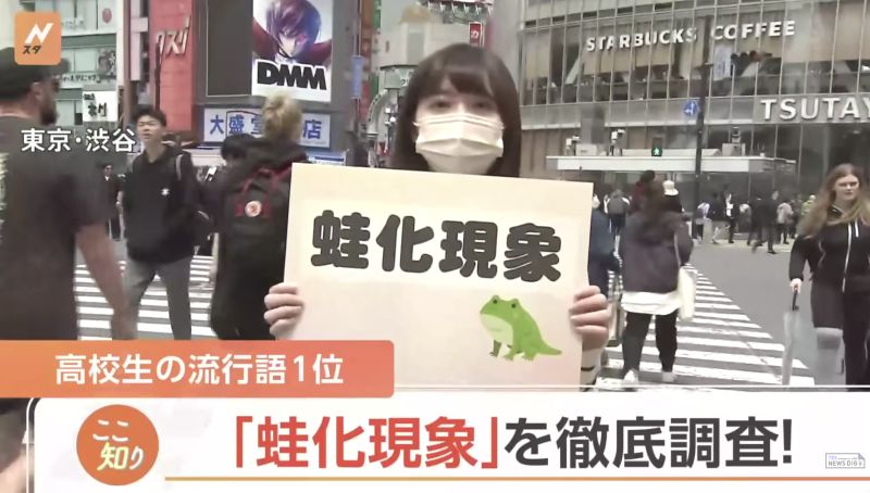 ▲近期在日本網路上，「蛙化現象」成為許多人討論的話題，更成為Z世代流行用語。（圖／擷取自YouTube）