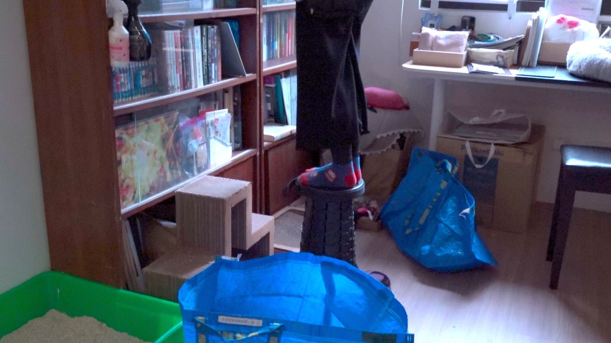 ▲隨著市場不斷成長，整理師能力也出現品質不一的狀況。（圖／示意畫面）