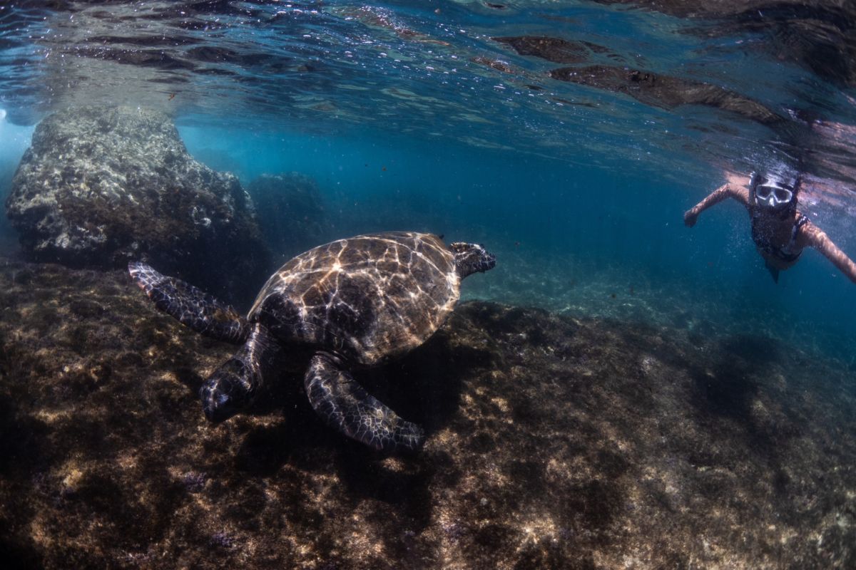 ▲小琉球浮淺首推美人洞、花瓶岩，可與海龜共游海洋。（圖／Slack BnB提供）