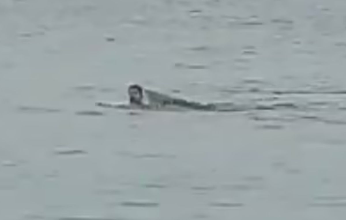 ▲23歲的俄國男子波波夫，近日在紅海沿岸一處渡假勝地，遭鯊魚攻擊致死。（圖／翻攝自每日郵報）