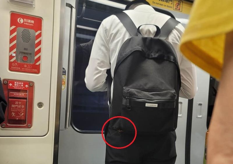 ▲近期就有民眾在搭乘捷運時，看到前方一位男乘客的包包上，竟有「恐怖生物」附著在上頭。（圖／爆料公社）