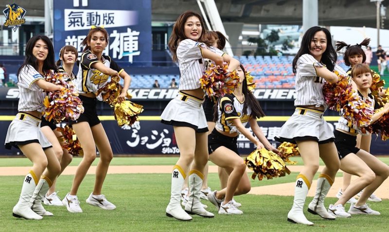 ▲阪神虎啦啦隊Tigers Girls到場，為中信兄弟開球，以及表演。（圖／兄弟提供）