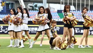 ▲阪神虎啦啦隊Tigers Girls到場，為中信兄弟開球，以及表演。（圖／兄弟提供）