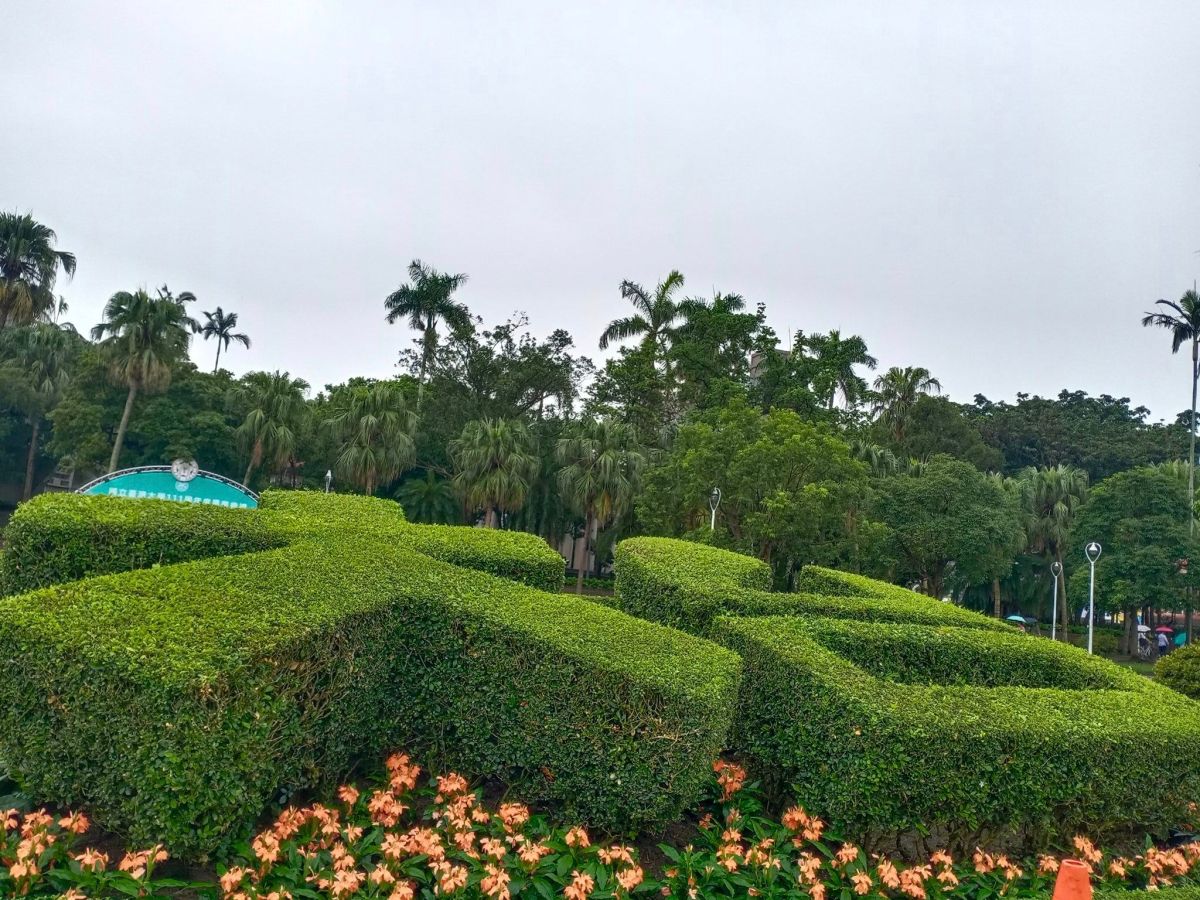 連畢業生都有！收肺結核接觸通知台大生 驚曝竟「都上過這堂課」