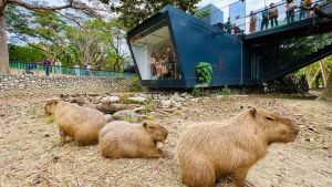 ▲ 壽山動物園十分受到大小朋友喜愛。（圖／高市府觀光局提供）