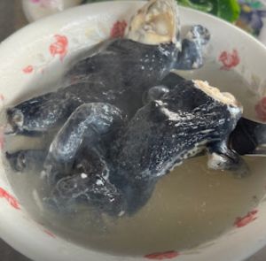 ▲雲林北港的特色小吃「青蛙湯」一直都深受老饕喜愛。(圖/圓環紅燒青蛙湯Google評價) ▲雲林北港的特色小吃「青蛙湯」一直都深受老饕喜愛。(圖/圓環紅燒青蛙湯Google評價)