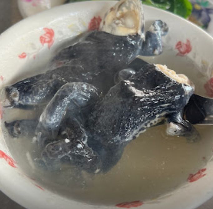 ▲雲林北港的特色小吃「青蛙湯」一直都深受老饕喜愛。（圖/圓環紅燒青蛙湯Google評價）