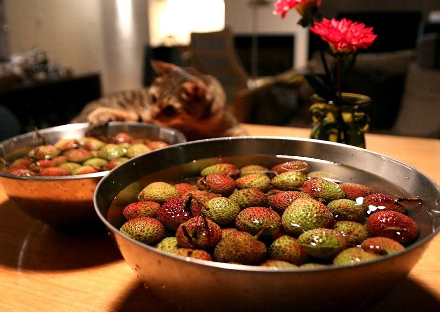 ▲荔枝吃不完隔天變得又乾又黑超難剝，專家分享荔枝「5步驟保鮮法」，加碼多1動作，還能幫忙去燥氣，降低吃荔枝上火的機率。（圖／翻攝葉怡蘭臉書）