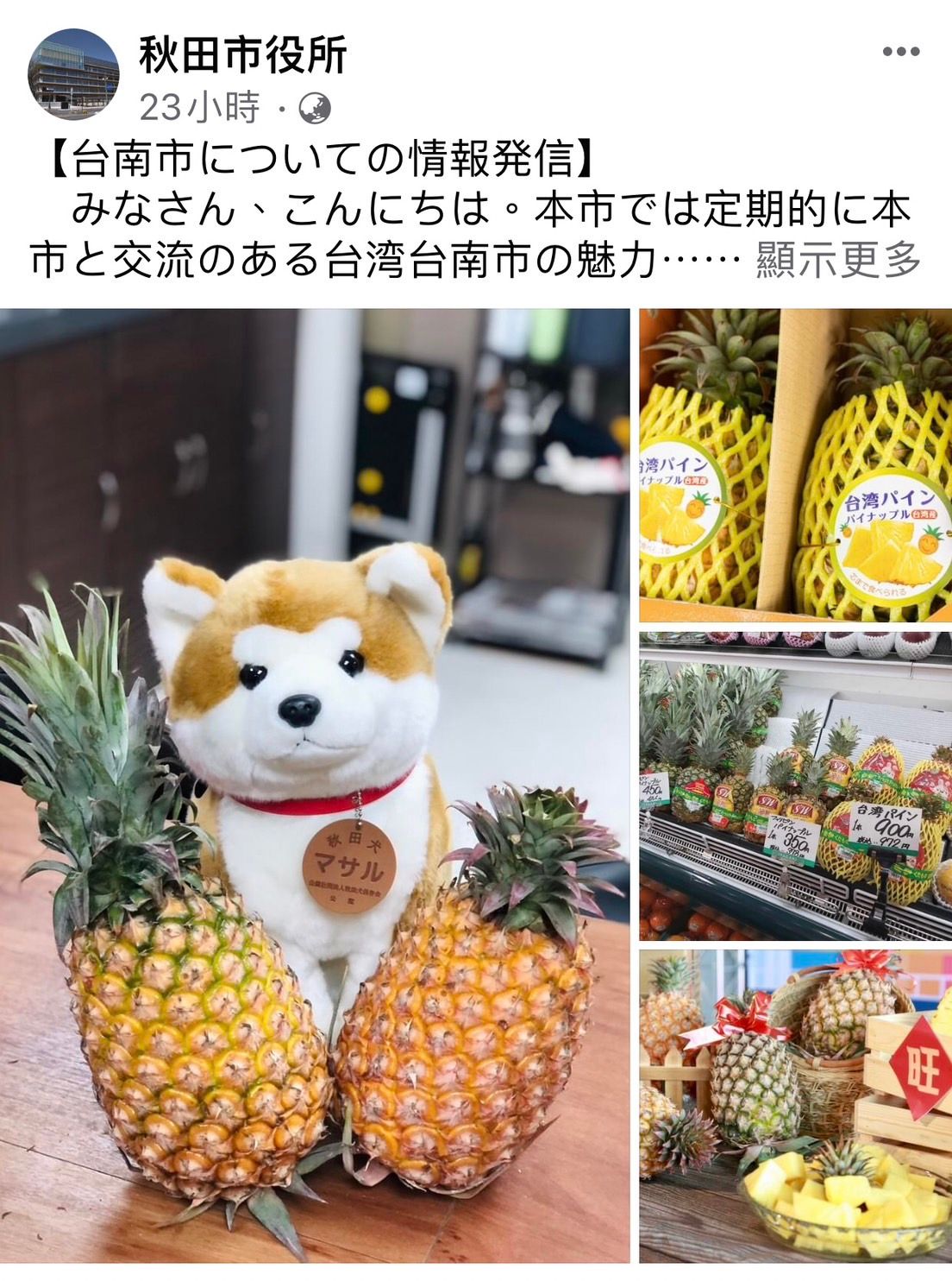 ▲日本秋田市役所官方臉書上，秋田觀光大使秋田犬介紹台南鳳梨（圖／台南市政府提供）