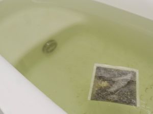 端午洗艾草水「驅蚊又開運」?皮膚醫搖頭曝真相:2類人千萬別洗