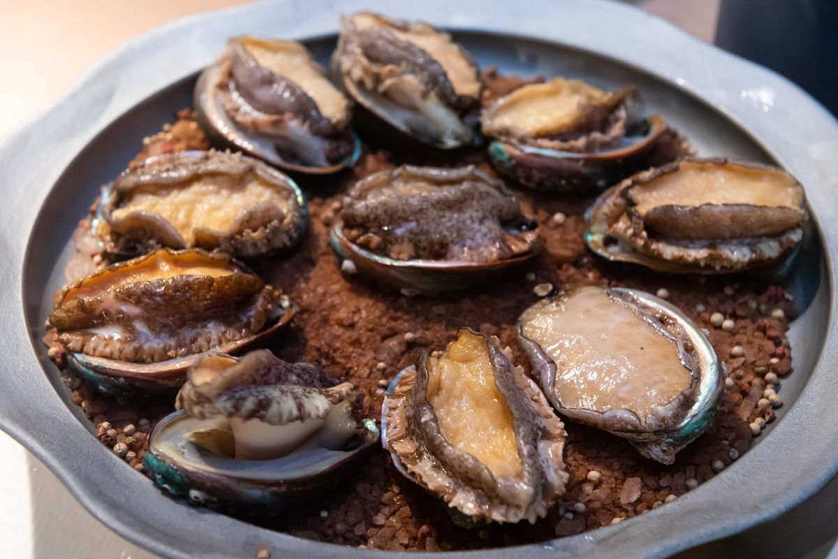 ▲台北高檔粵菜餐廳「龍軒傳承」將開幕，10人桌菜16800元吃得到龍蝦和龍虎斑，試營運加送鹽焗鮮鮑魚。（圖／龍軒傳承提供）