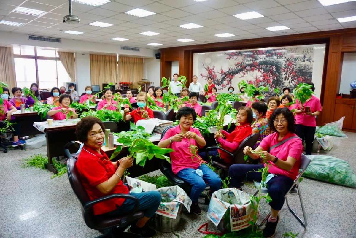 ▲睽違3年的南屯「端午穿木屐躦鯪鯉」今年端午節復辦，萬和宮動員志工摘撿 260斤麻芛，當天煮湯免費供民眾品嚐。（圖／萬和宮提供）