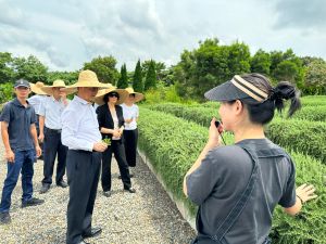 ▲香港新住民葉婷婷(右)帶領移民署署長鐘景琨(中)一行人漫步花園中，邊走邊介紹各式自種的香草。（圖／移民署南投縣服務站）