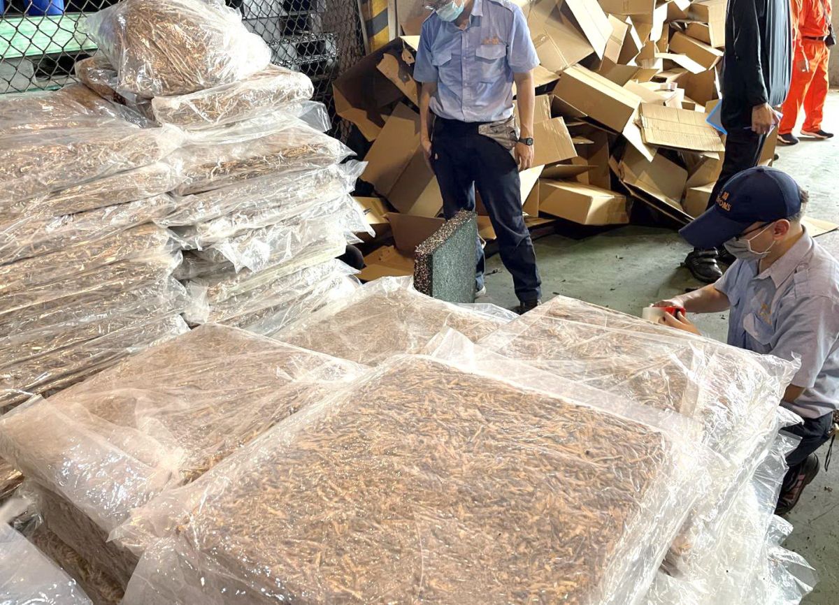 ▲財政部關務署高雄關查獲一只進口貨櫃申報橡膠製戶外地板，卻夾藏疑似中國大陸製乾香菇絲一批。(圖／記者黃守作攝，2023.06.20)