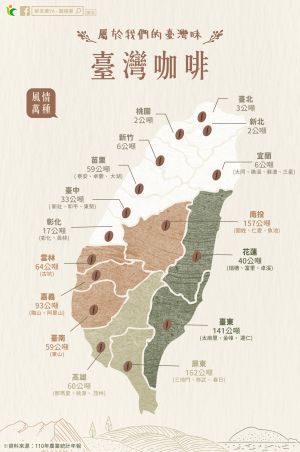▲其實在台灣本島上，也有種植咖啡豆！甚至還能從產地看出「3種特殊風味」。（圖／農糧署）