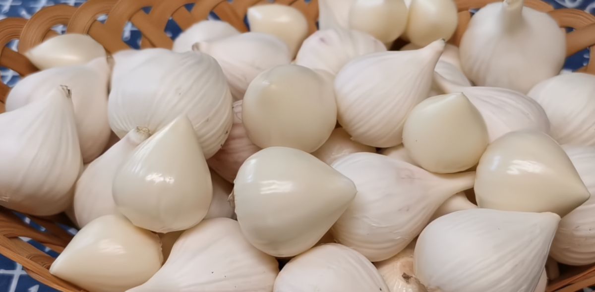 ▲在菜市場內藏著一種「沒有分瓣」的蒜頭，但它卻不是瑕疵品，反而是「傳說級」的稀少食材。（圖／Youtube@凡人趣日）