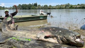 義大利波河驚見「3公尺巨鯰」！恐打破世界紀錄　釣客嗨翻了
