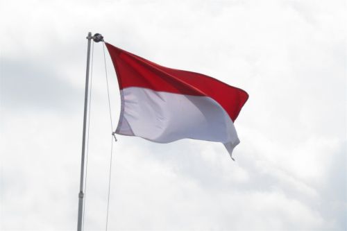 中國「神秘肺炎」引印尼關注！呼吸道疫情爆發　印尼加強監測

