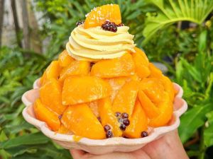 ▲外型巨大、有著滿滿芒果的「巨無霸芒果布丁冰」，是台南清水堂的招牌冰品之一。（圖／取自清水堂臉書）