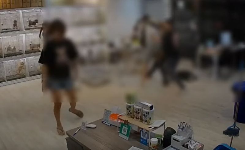▲彰化員林市25日晚間，一家寵物店店員被2名惡煞砍斷右手臂。（圖／翻攝畫面） 