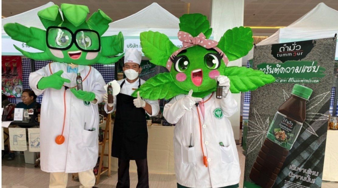 ▲泰國大麻合法化超過一年，泰國衛生部提醒消費者使用大麻仍有10件事需要注意。（圖／翻攝自X，原稱推特）