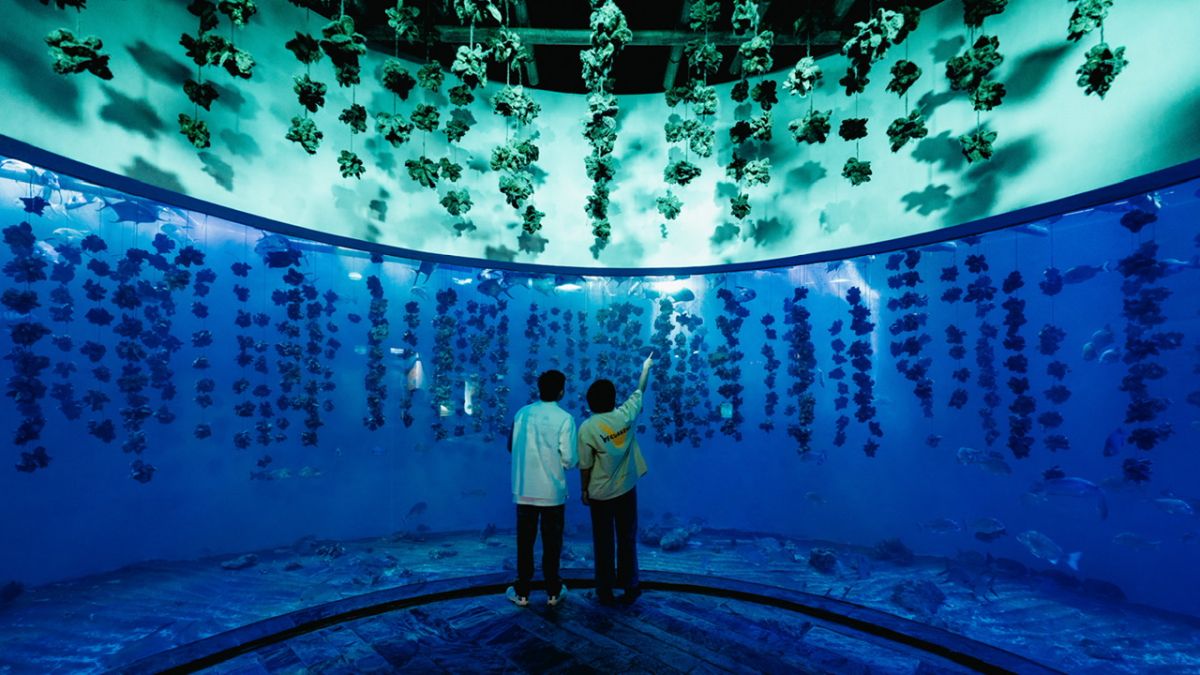 ▲屏東海生館暑期全新活動《歡迎光臨我的海生館！》，將透過10組館內員工及旅人的獨特視角，公開他們私藏的海生館角落。（圖／屏東海生館提供）