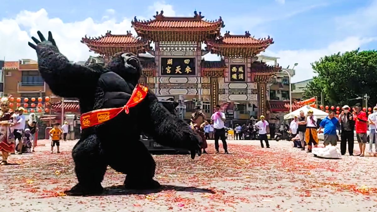▲大猩猩廟會跳舞暴紅，《鍾藝劇團》在雲林四湖參天宮的廟前參拜表演讓人目瞪口呆。（圖／翻攝雲林四湖參天宮粉專）