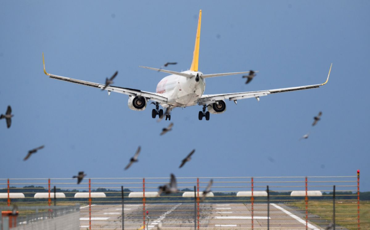 ▲荷蘭及德國遭受有記錄以來最強烈的夏季風暴侵襲，國際航空及鐵路運輸陷入一片混亂。（圖／美聯社／達志影像）