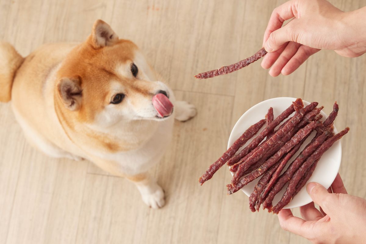 ▲乾杯集團旗下寵物食品品牌正式更名「K-PET毛孩乾杯」，推出「老饕級牛舌零食」四款新品，以冷藏熟成澳洲穀飼牛肉製作出高規格的「人可食用等級」寵物食品。（圖／乾杯集團提供）