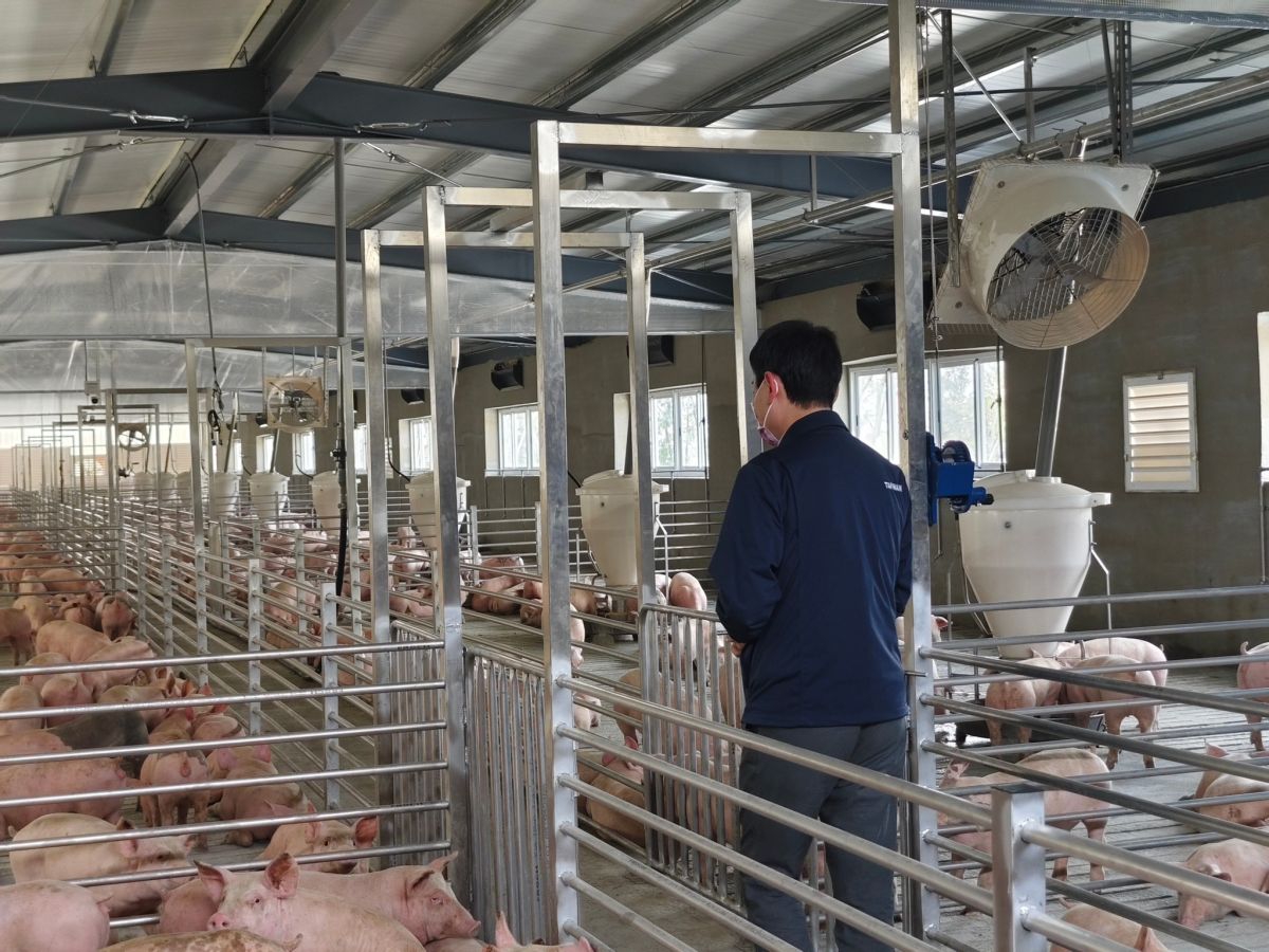 ▲黃國昌踢爆陳明文用兒子陳冠廷名下的養豬場，以3000萬土地跟農會貸款1億多，後續陳明文火速刪文；對此，陳冠廷回應強調，黃國昌的指控並不正確。（圖／翻攝陳冠廷臉書）