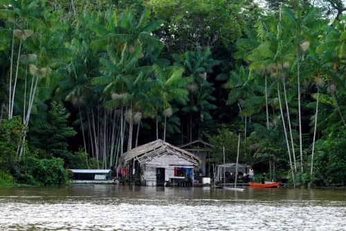 ▲巴西魯拉政府上任後,即致力於亞馬遜雨林的保護工作。(圖/美聯社/達志影像) ▲巴西魯拉政府上任後,即致力於亞馬遜雨林的保護工作。(圖/美聯社/達志影像)