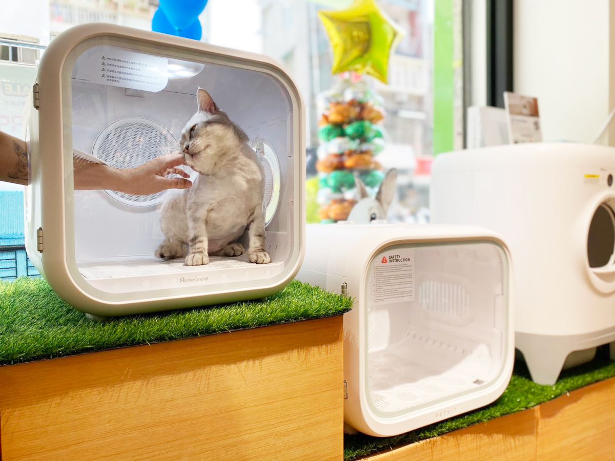 ▲飼主都買啥？寵物用品熱賣榜公開。新興熱門的智能商品中，烘乾箱就是不少飼主的心頭好。（圖／寵物公園提供）