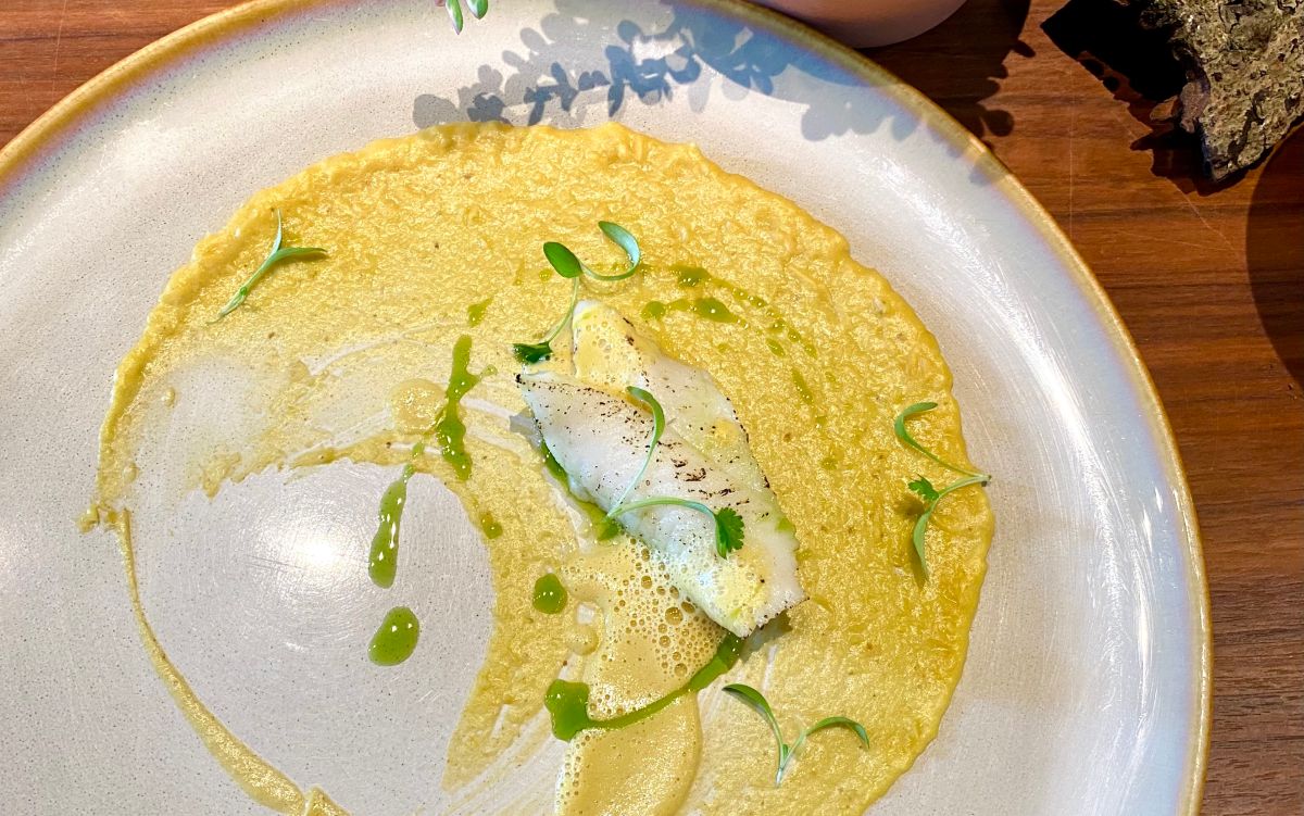 ▲你吃的鱈魚其實是比目魚！林世航營養師透露常被俗稱為扁鱈的大比目魚營養價值。價格差6倍，但大比目魚的Omega-3脂肪酸卻比真鱈魚高6倍。（圖／記者蕭涵云攝） 