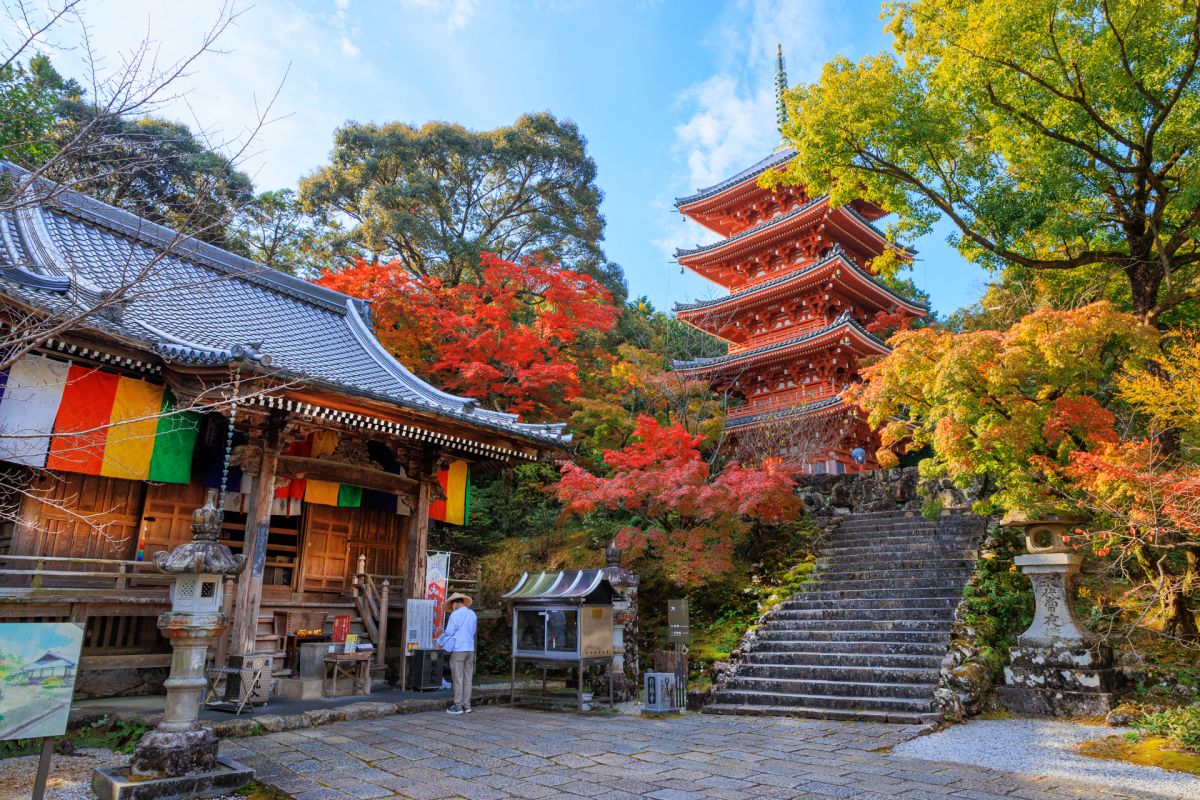 ▲燦星旅遊獨家包機搭台灣虎航直飛四國高知縣，7月份載客率98%，高知縣知事濱田省司訪台透露「日本其他航線超過7成就算合格。『台北桃園-高知』達9成，對我來說已是超出預期」。（圖／燦星旅遊提供）