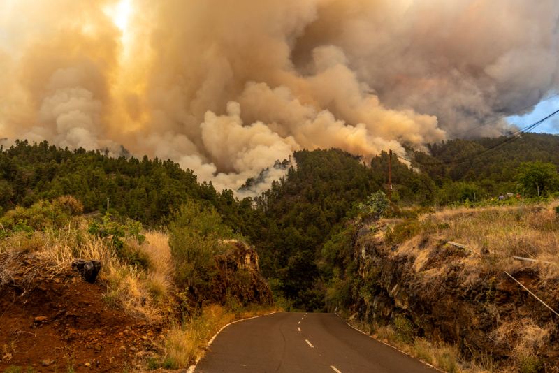 ▲熱浪席捲歐洲之際，西班牙拉帕馬島（La Palma）當局今天表示，由於當地野火失控，已撤離至少2000名居民。（圖／美聯社／達志影像）