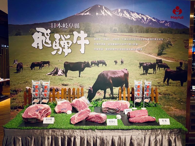 ▲連續三屆獲「全國和牛能力共進會」最優秀食肉牛肉賞的「飛驒牛」。(圖/記者蕭涵云攝)