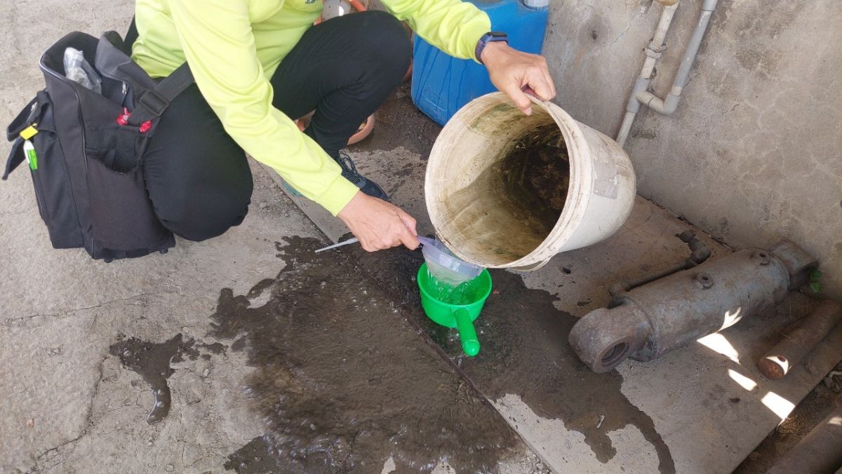 ▲高雄市本土登革熱今天無新增確診個案防疫團隊將持續進行菜園、市場攤集場、果菜市場、公園綠地、工地等高風險場域病媒蚊監控。(圖／高市府提供)