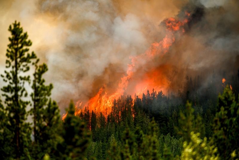 ▲近期野火以驚人的強度在加國各地蔓延，迫使16萬8000名加拿大人撤離家園，還燒毀了1350萬公頃的土地。資料照。（圖／美聯社／達志影像）