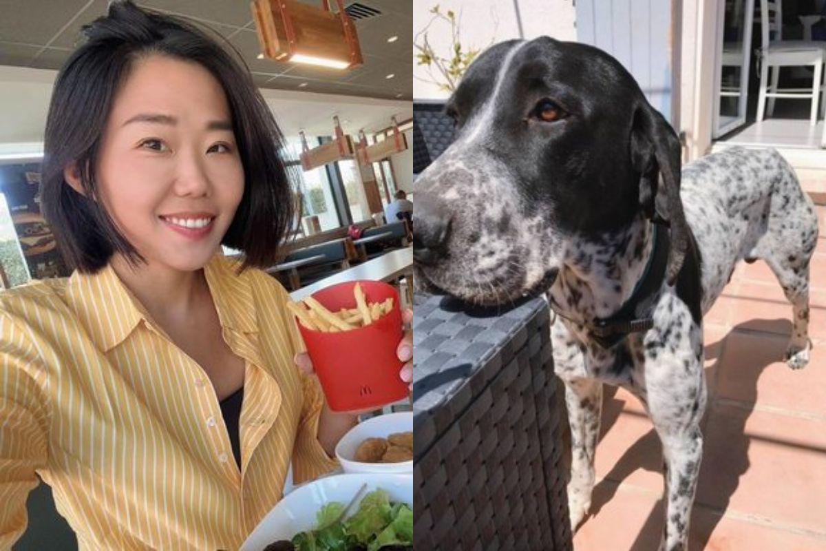 ▲亞歷媽坦承2017年謊稱愛犬麥坤遭水泥車輾斃，但其實是送養到別人家。（圖／翻攝自亞歷媽臉書）