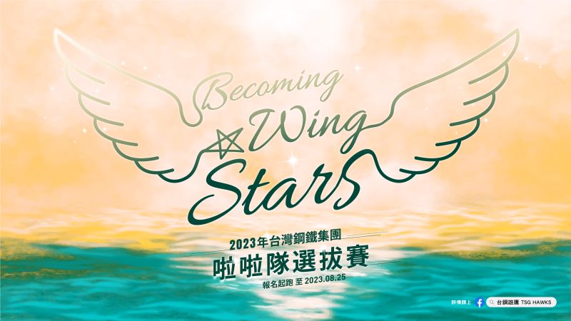 ▲台鋼啦啦隊「Wing Stars」徵選開跑，年薪保證50萬起跳。（圖／台鋼提供）