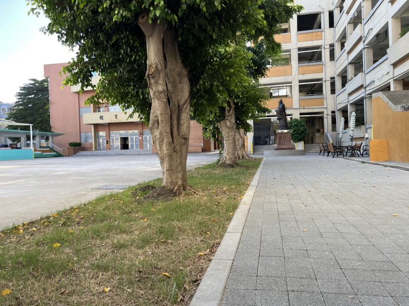 ▲教育部補助20校進行地坪修繕及美化，彰化縣忠孝國小地面重新鋪面後，配合校園整體景觀，以綠植美化環境。（圖／教育部提供）