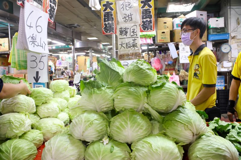 ▲2009年莫拉克颱風全台農損超過10億元，當時曾創下「菜比肉貴」的情況。（圖／記者陳明中攝）