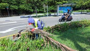 防颱總動員　高市觀光局啟動景區旅宿防颱整備工作

