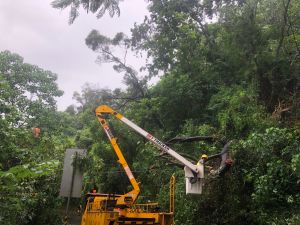 杜蘇芮颱風造成屏東地區萬戶停電　台電搶修陸續通電
