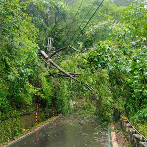 ▲屏東泰武及來義鄉等山區，多處土石流壓倒路樹造成高壓線斷落導致停電。（圖／台電提供）