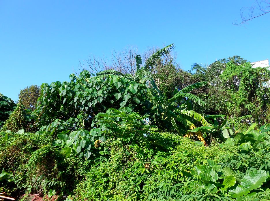▲宜蘭大地主欠上億遺產稅，宜蘭分署追回創分署最高稅款。（圖／宜蘭分署）