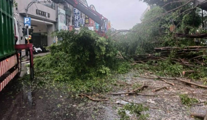 ▲杜蘇芮颱風對南部地區帶來極大影響，27日深夜刮起強陣風，南部多地區偵測到12級的強風，造成路樹倒塌。（圖/台南市工務局提供）